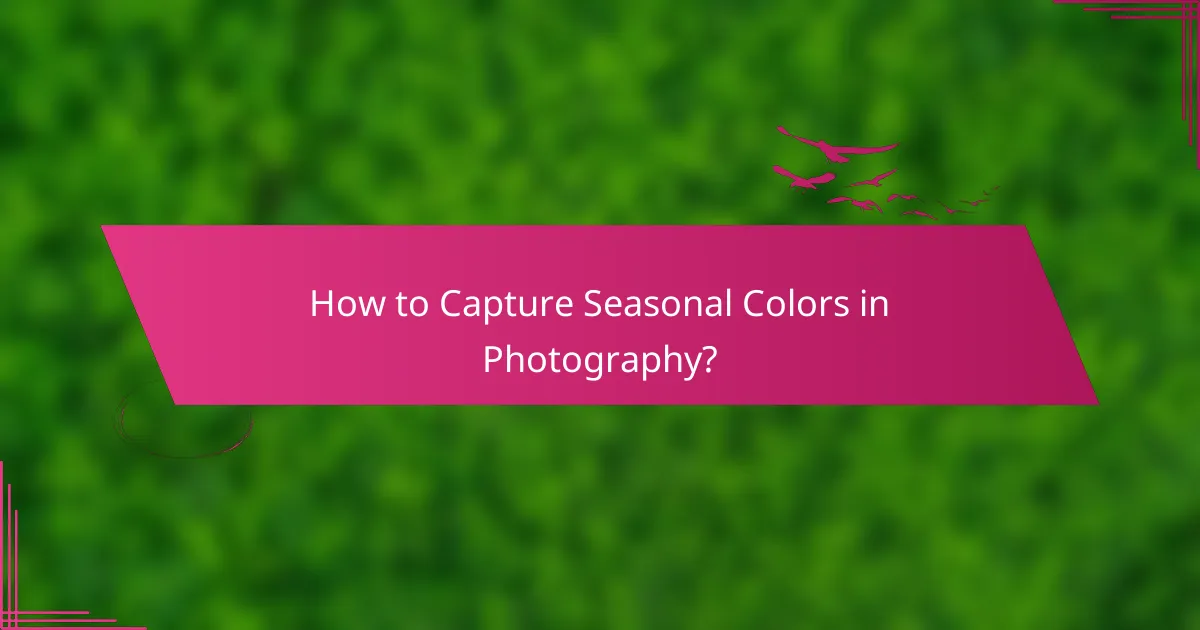 How to Capture Seasonal Colors in Photography?