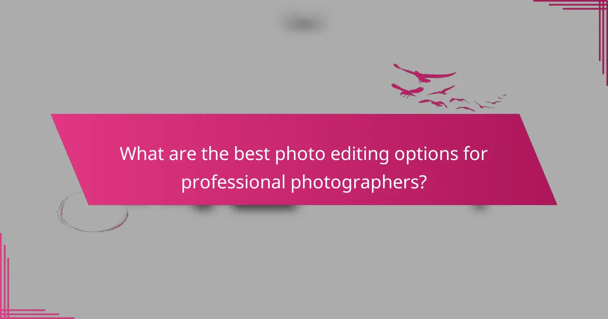What are the best photo editing options for professional photographers?