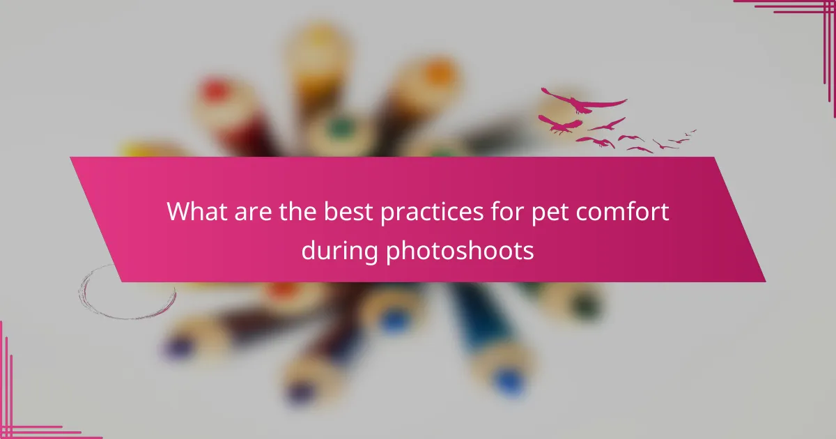 What are the best practices for pet comfort during photoshoots