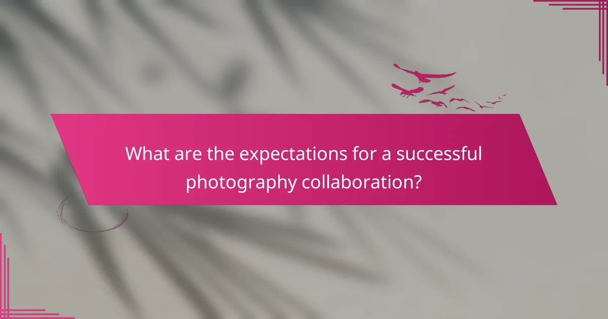 What are the expectations for a successful photography collaboration?